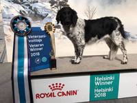 Dimka Fenske fan de Moaie Hôvingen "Nana" VET EXC BOB-VET "HELSINKI VETERAN WINNER 2018"